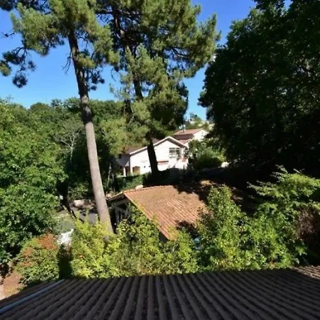 / Ville D'automne - T2 4 Personnes Au Calme Appartement Arcachon