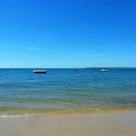 Appartement / Ville D'automne - T2 4 Personnes Au Calme Arcachon